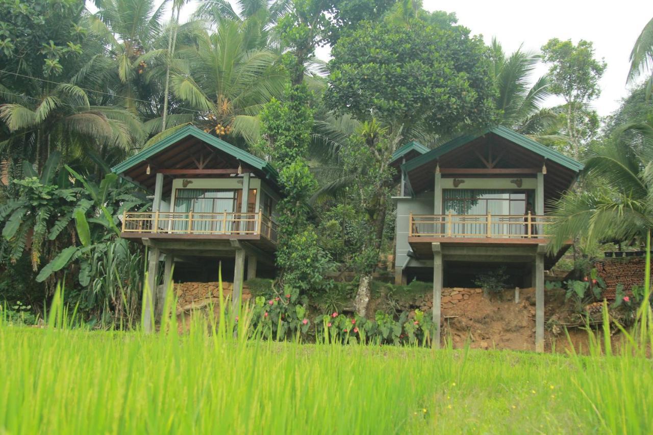 Rainforest Nest Deniyaya Exterior foto