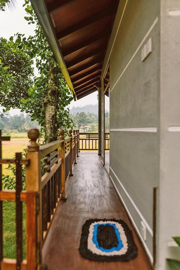Rainforest Nest Deniyaya Exterior foto