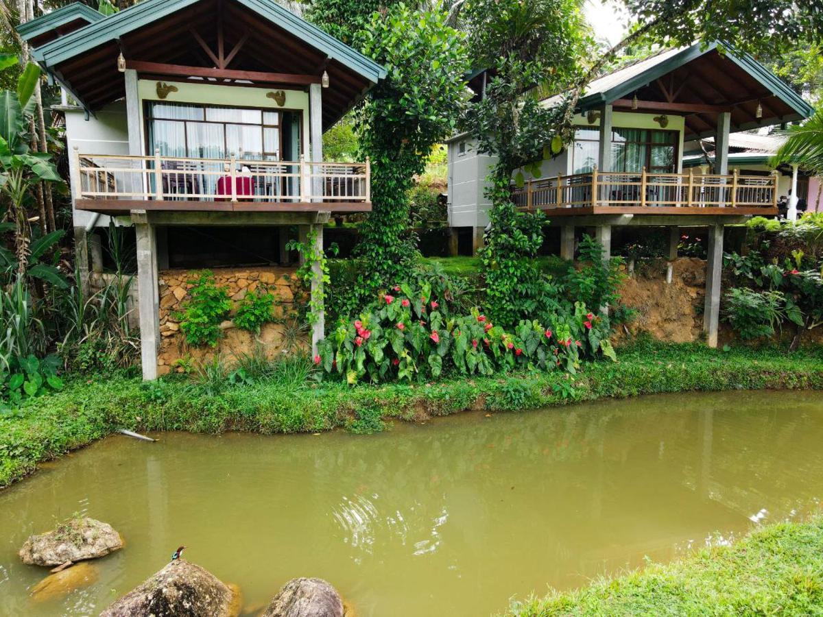 Rainforest Nest Deniyaya Exterior foto