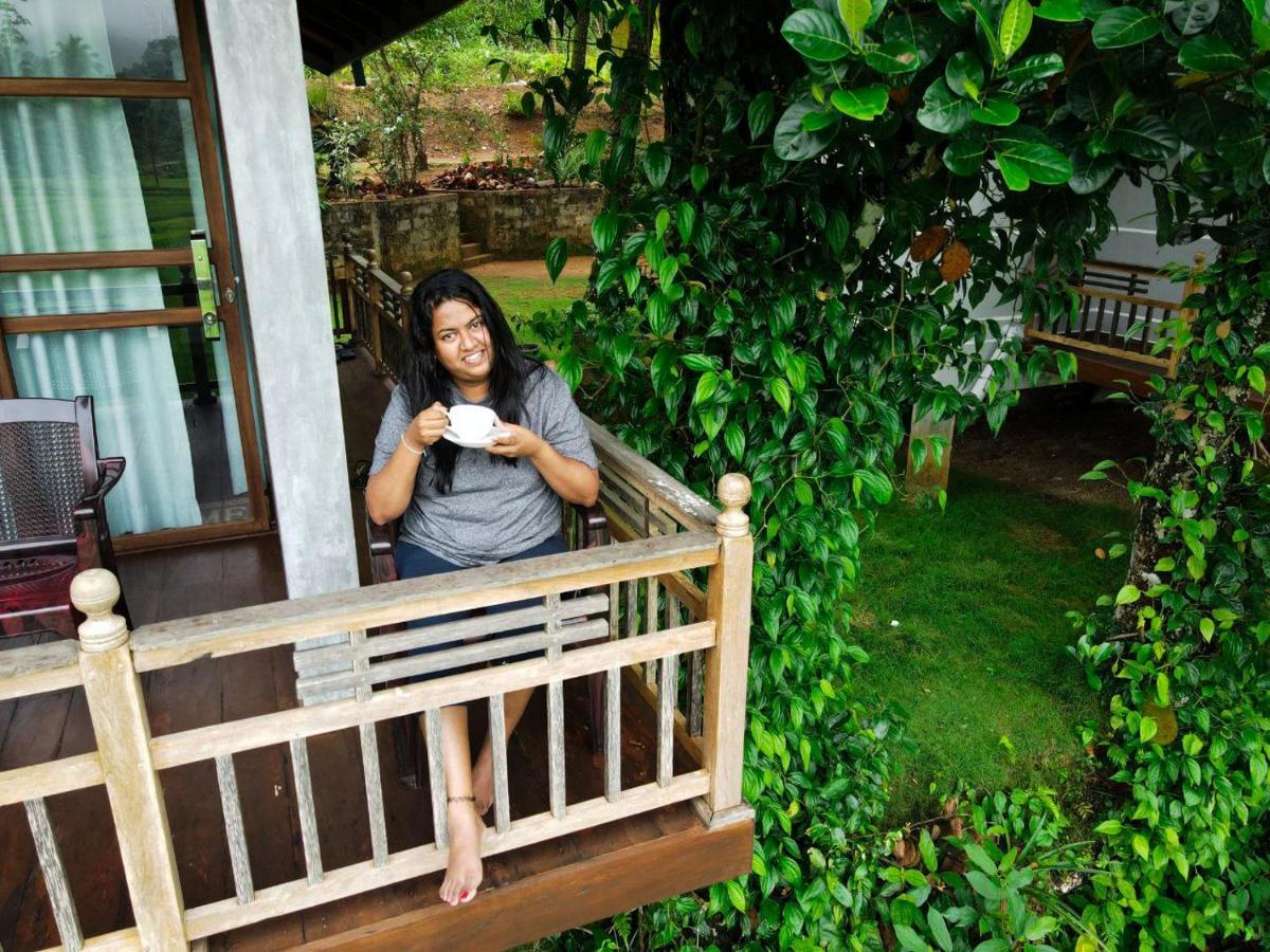 Rainforest Nest Deniyaya Exterior foto