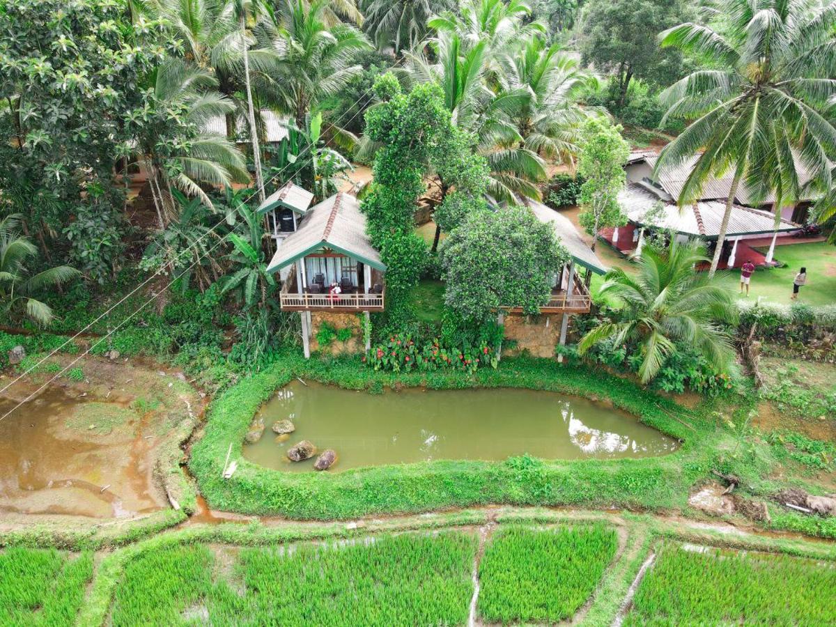 Rainforest Nest Deniyaya Exterior foto