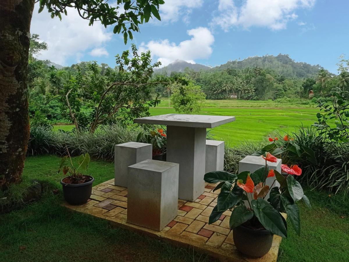 Rainforest Nest Deniyaya Exterior foto