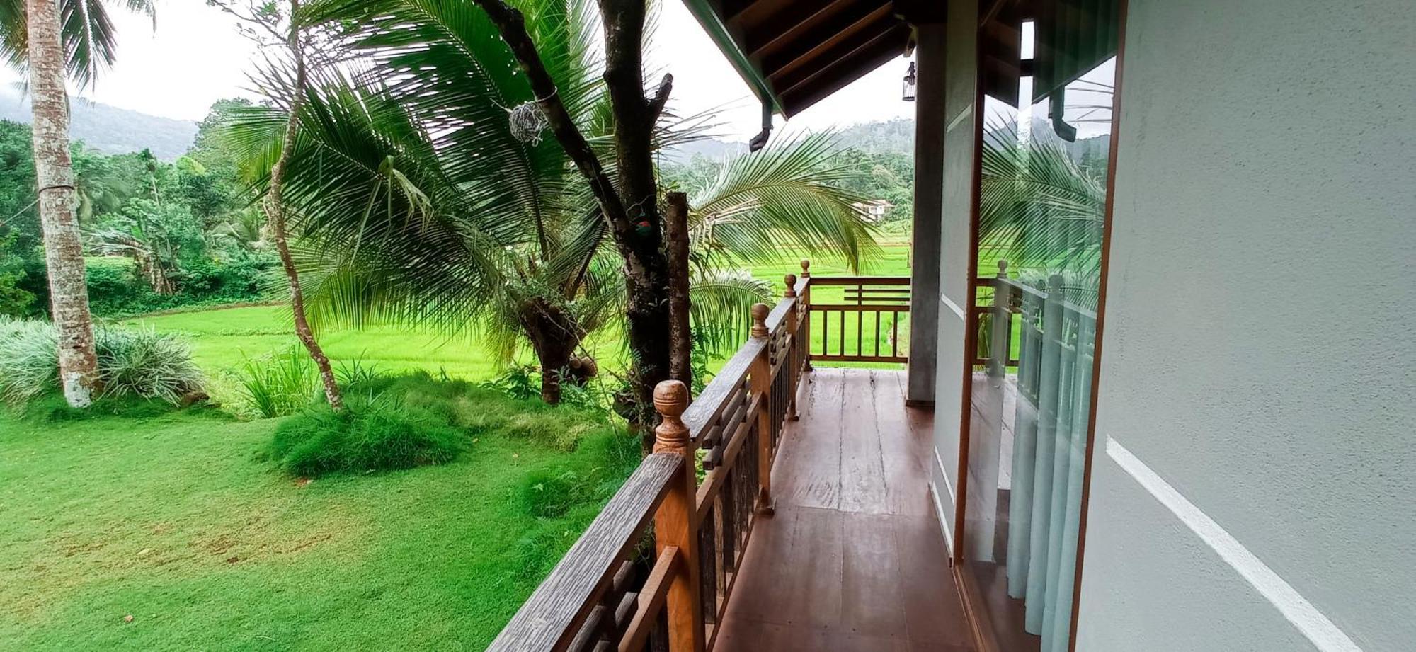 Rainforest Nest Deniyaya Exterior foto