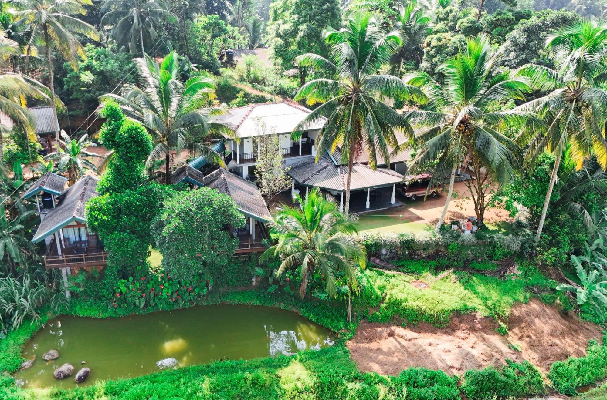 Rainforest Nest Deniyaya Exterior foto