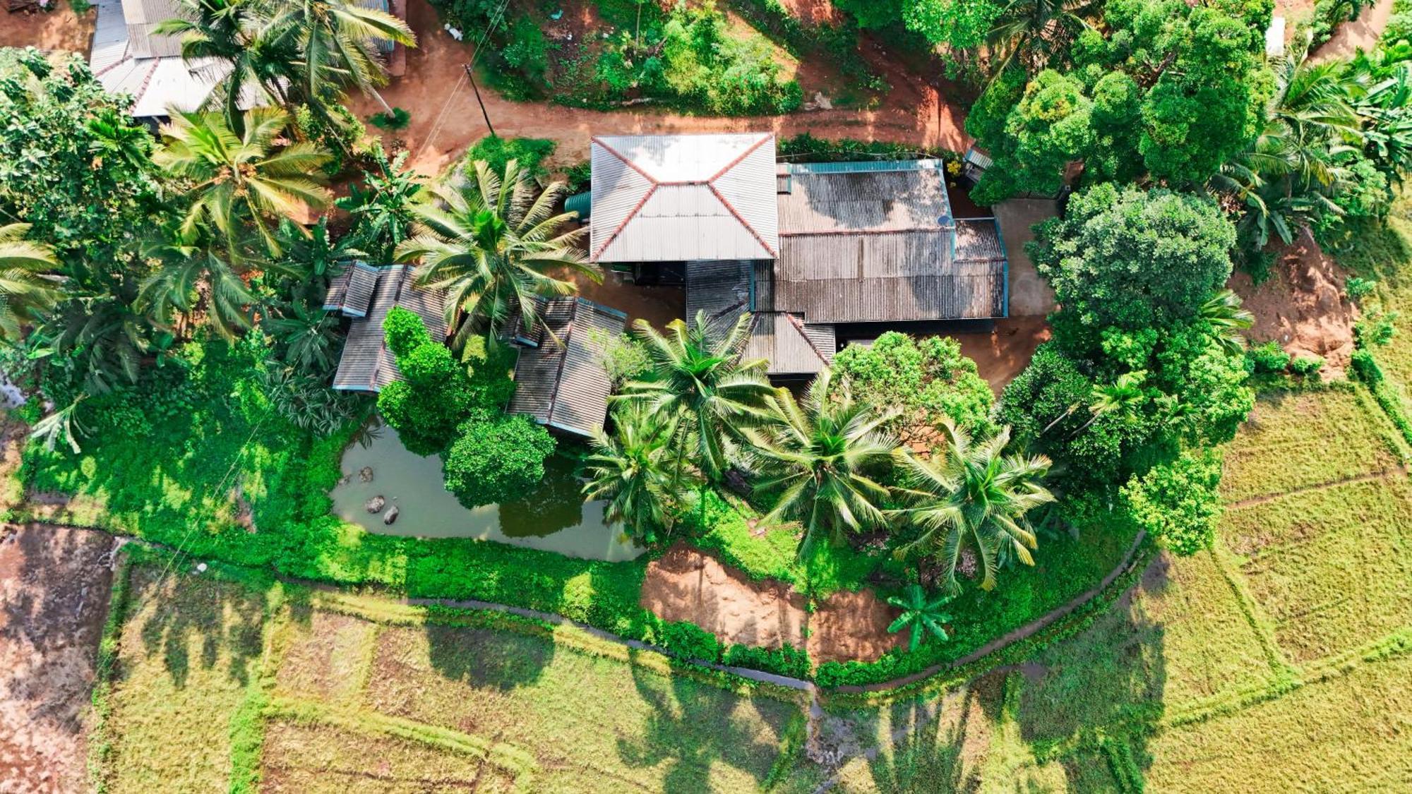 Rainforest Nest Deniyaya Exterior foto